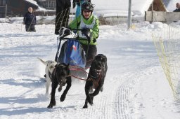 Lenk 2012 SM